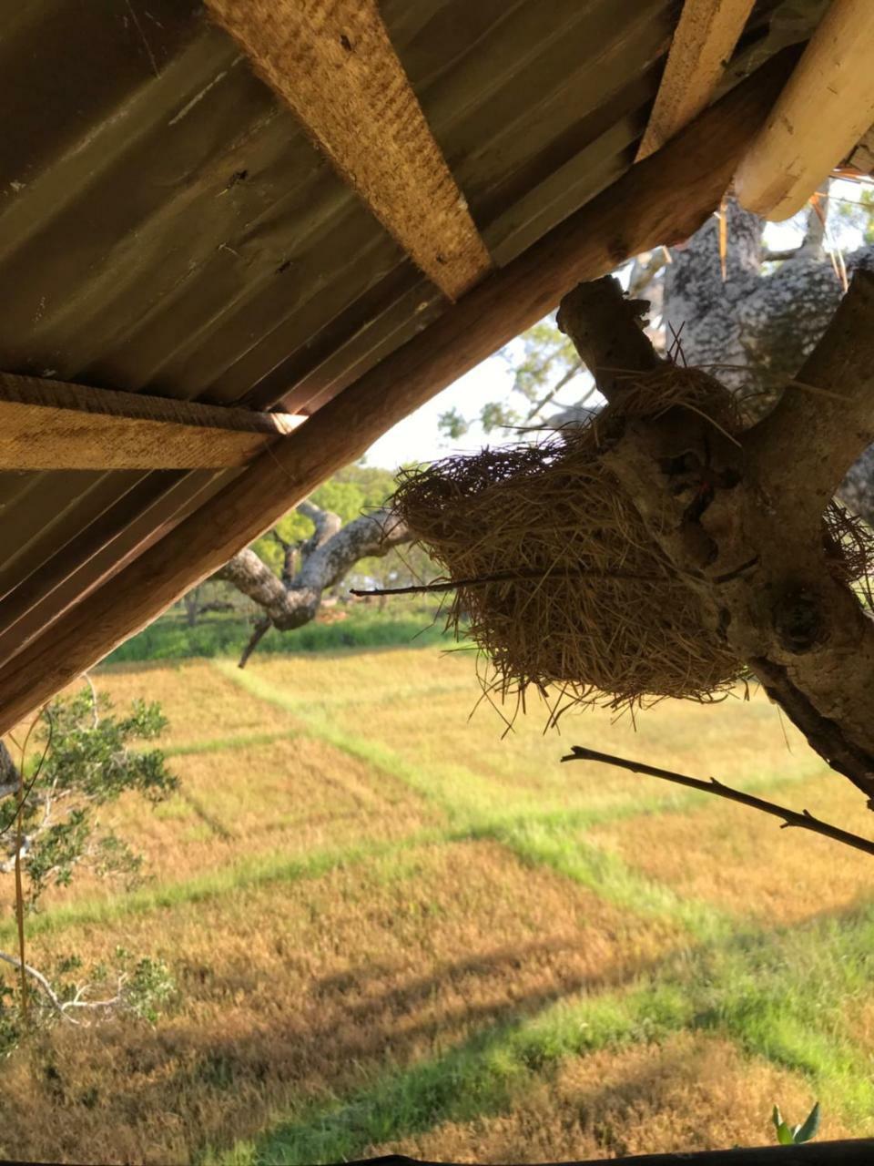 Galapita Eco Lodge Buttala Екстер'єр фото