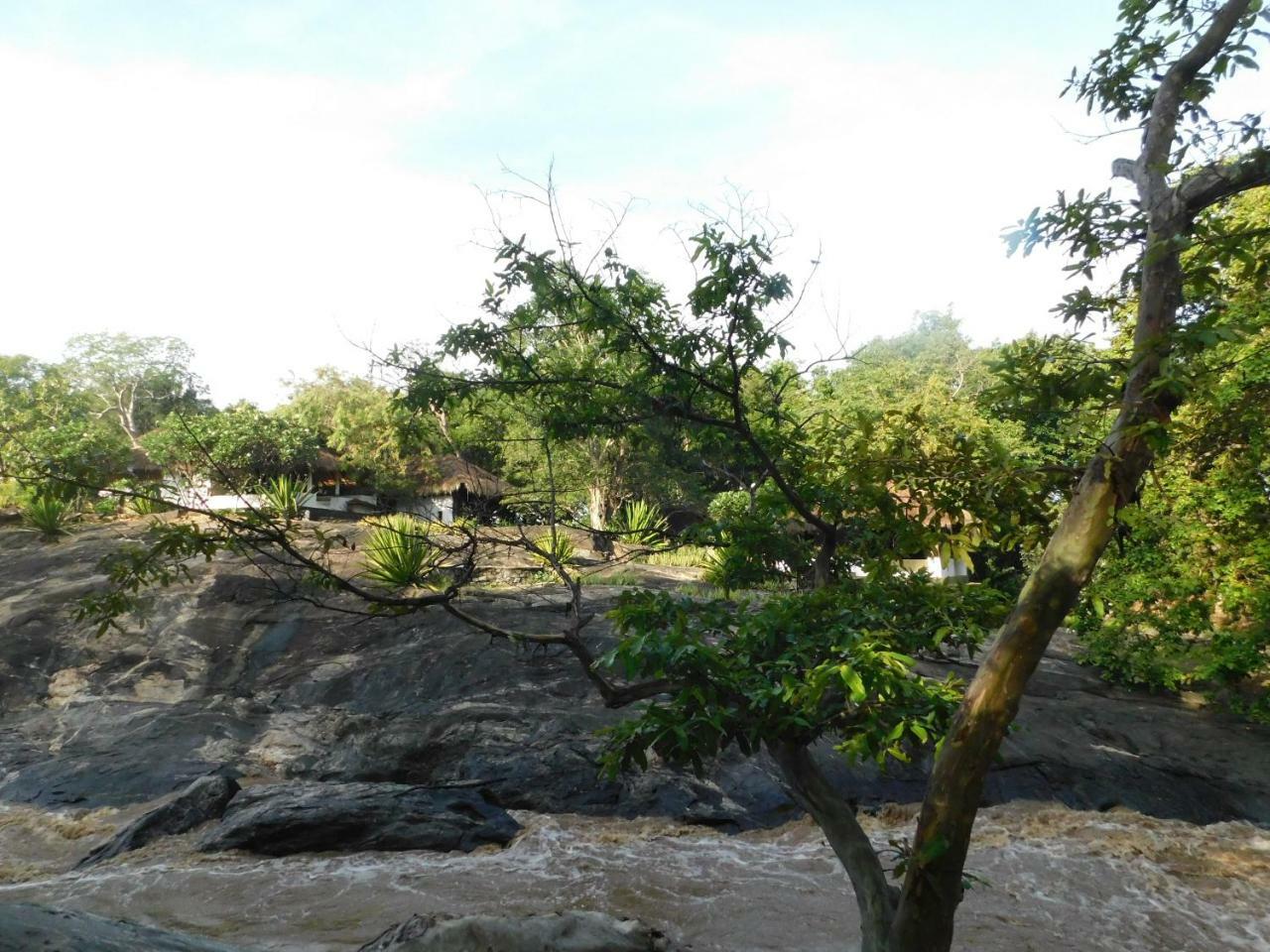 Galapita Eco Lodge Buttala Номер фото
