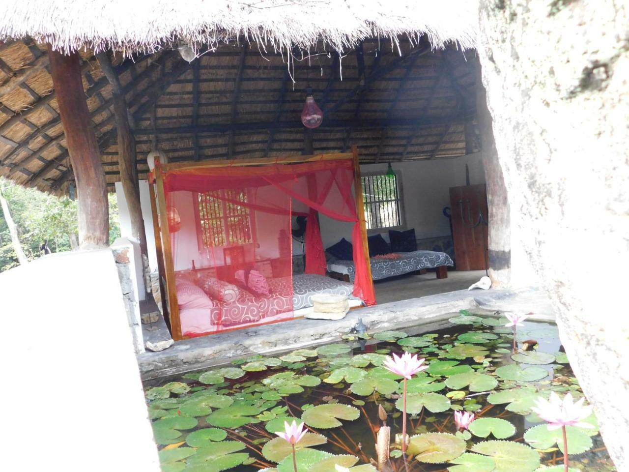 Galapita Eco Lodge Buttala Екстер'єр фото
