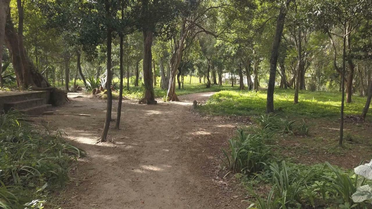 Galapita Eco Lodge Buttala Екстер'єр фото