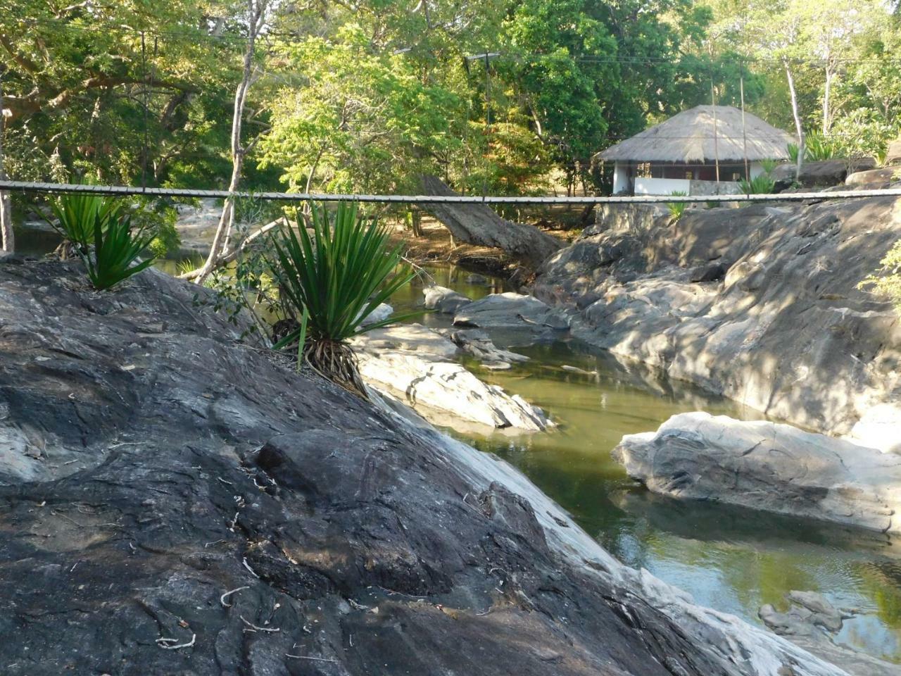 Galapita Eco Lodge Buttala Екстер'єр фото