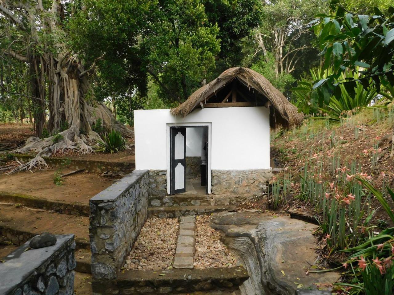 Galapita Eco Lodge Buttala Екстер'єр фото