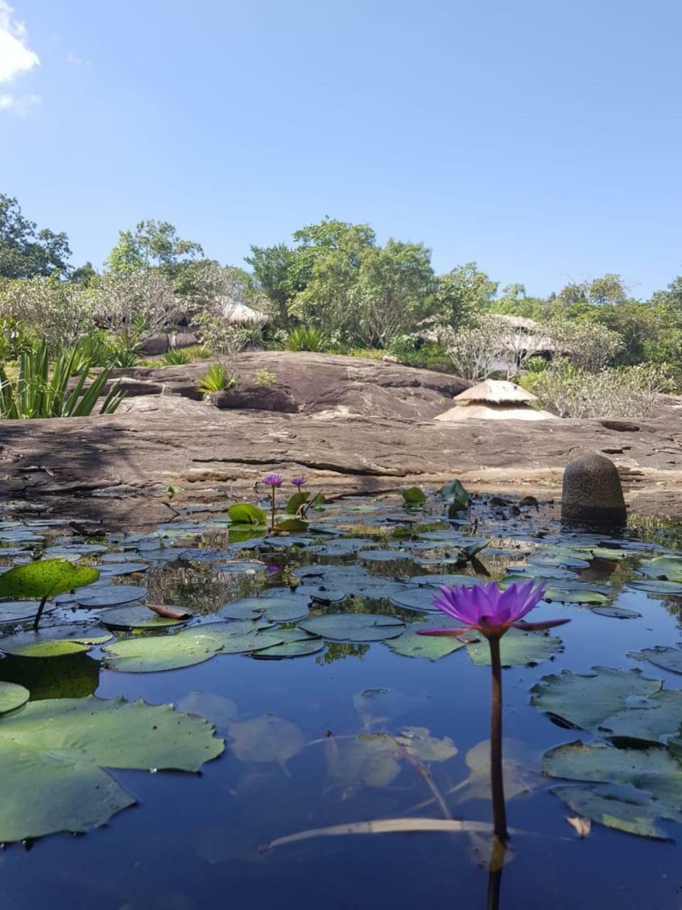 Galapita Eco Lodge Buttala Екстер'єр фото